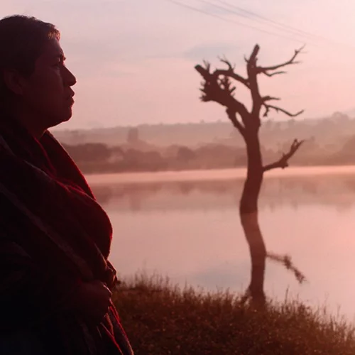 Χαρακτηριστικά Γνωρίσματα